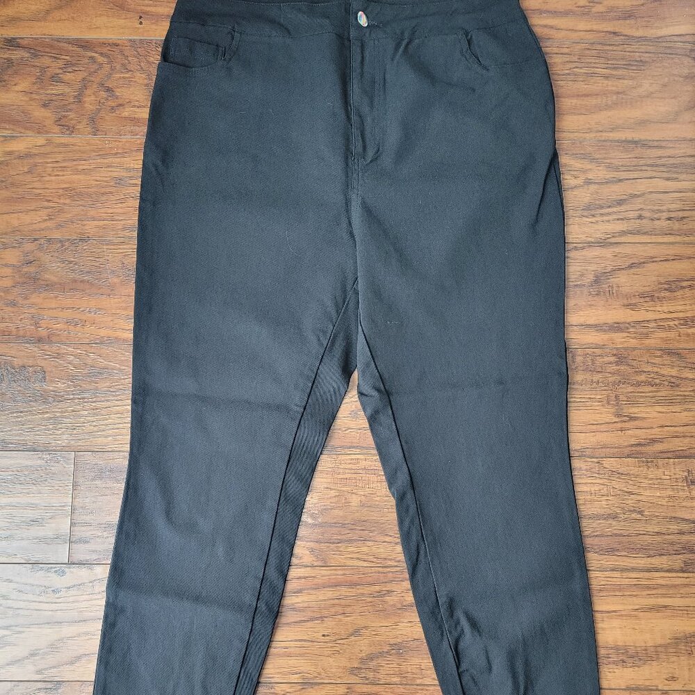 SHEIN Curve High-Rise Black Straight Skinny Leg Pants w/ Pockets sz 3X XXXL EUC